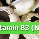 vitamí b 3 niacin