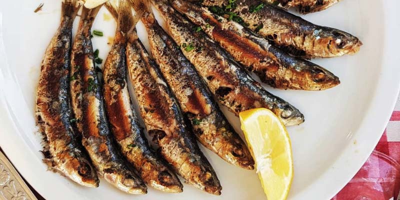 bílkoviny potraviny zdroje 