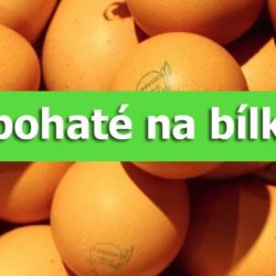 bílkoviny potraviny