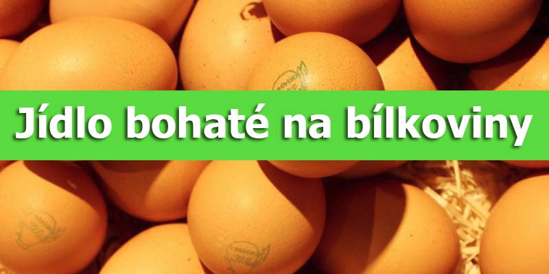 bílkoviny potraviny