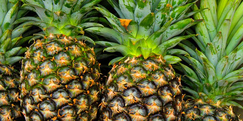 Kolik vitaminů má ananas?