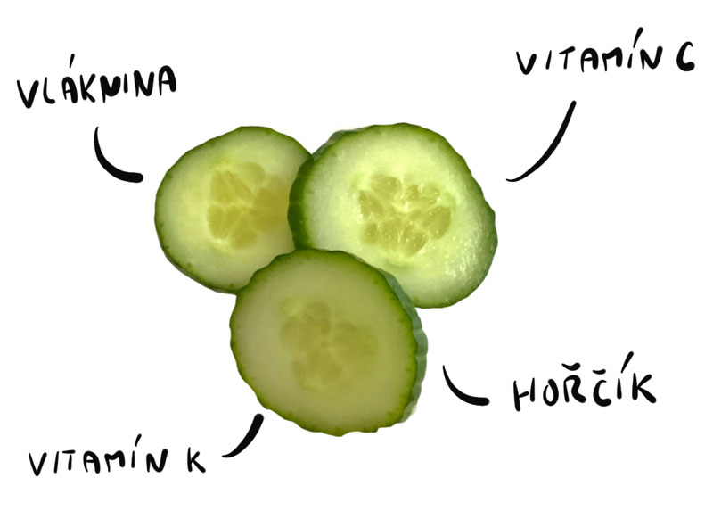 Jaké má vitamíny okurka?