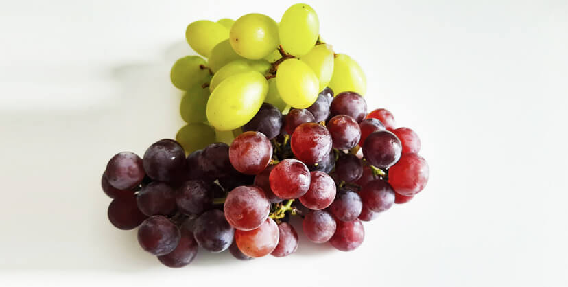 hroznové víno a účinky