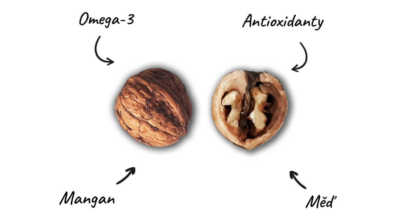 vlašské ořechy a složení 